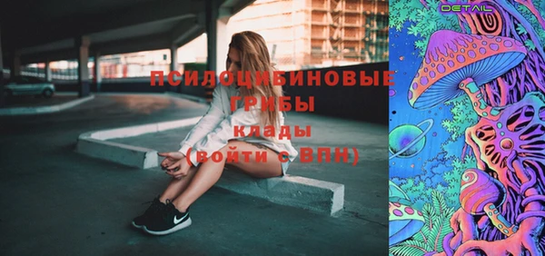 молекула духа Алзамай