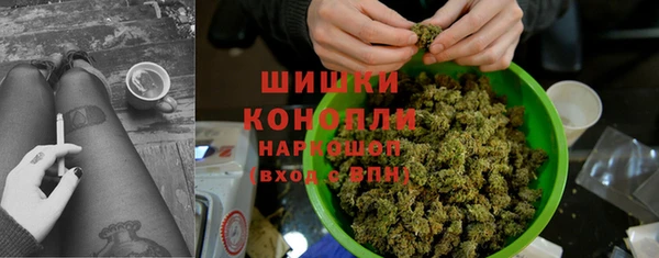 молекула духа Алзамай